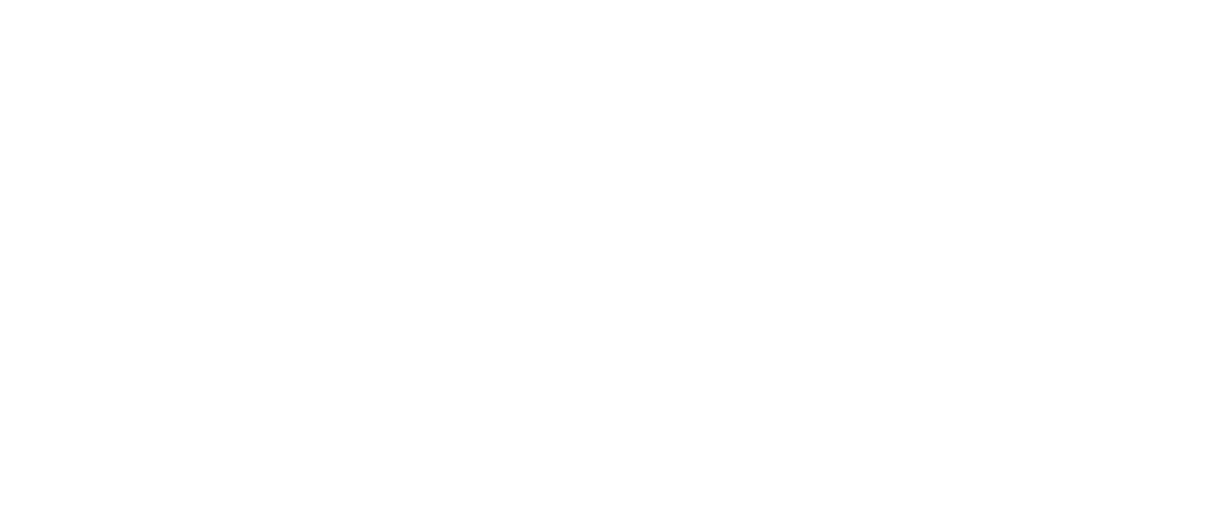 Small business with limited resources